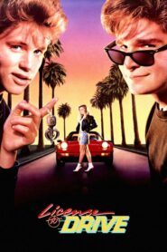 License to Drive – Μια νύχτα χωρίς δίπλωμα