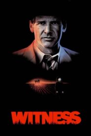 Witness – Μάρτυρας εγκλήματος