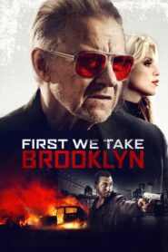 First We Take Brooklyn