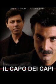 Il capo dei capi