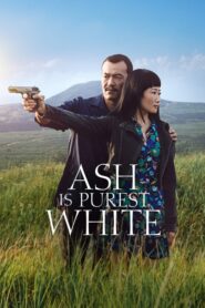 Ash Is Purest White – Οι στάχτες μιας αγάπης