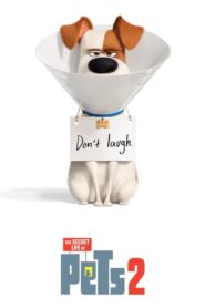 The Secret Life of Pets 2 – Μπάτε σκύλοι αλέστε 2