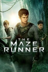 The Maze Runner – Ο Λαβύρινθος