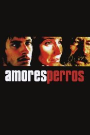 Amores perros – Χαμένες Αγάπες