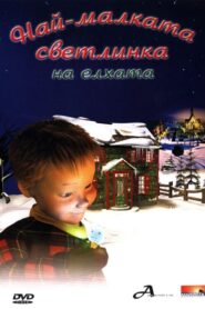 The Littlest Light On The Christmas Tree