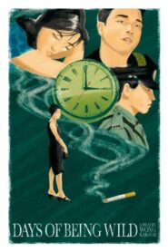 Days of Being Wild – Οι άγριες μέρες μας
