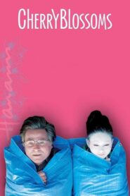 Cherry Blossoms – Ανθισμένες κερασιές