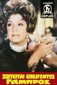 Ζητείται Επειγόντως Γαμπρός