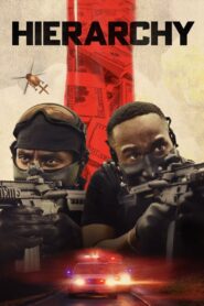 Hierarchy